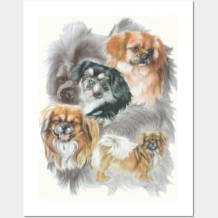 Tibetan Spaniel Posters and Art